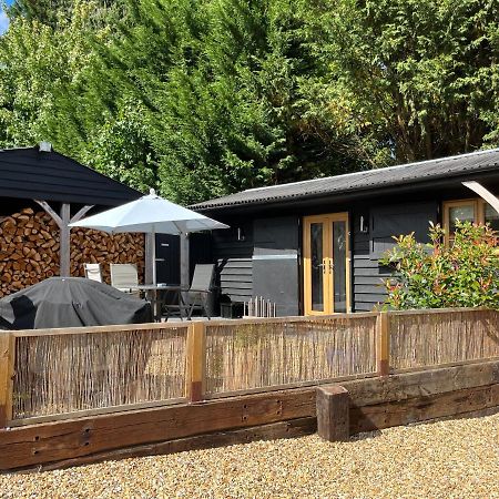 Hascombe Accommodation Екстериор снимка